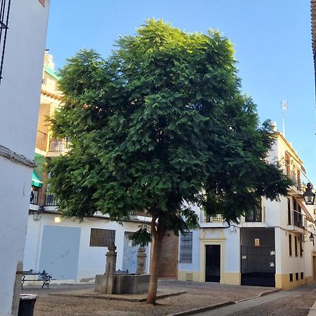 Terraza De La Axerquia Apartman Córdoba Kültér fotó