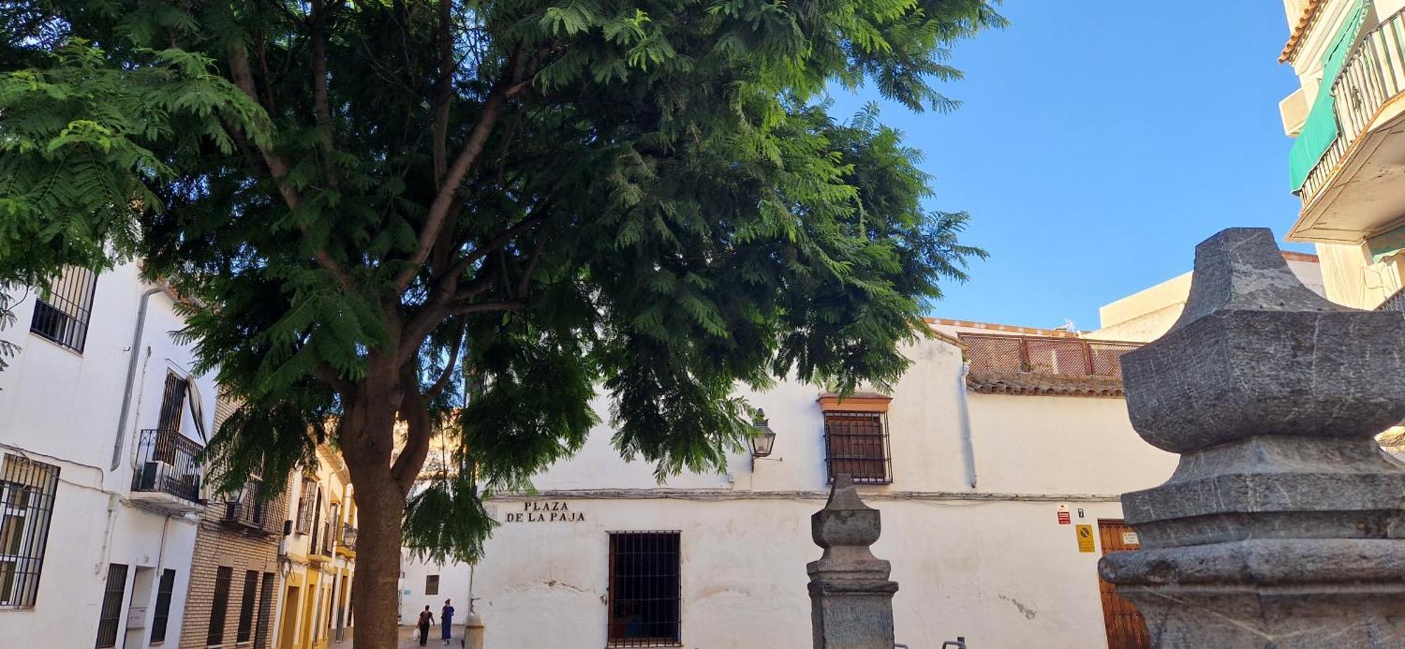 Terraza De La Axerquia Apartman Córdoba Kültér fotó