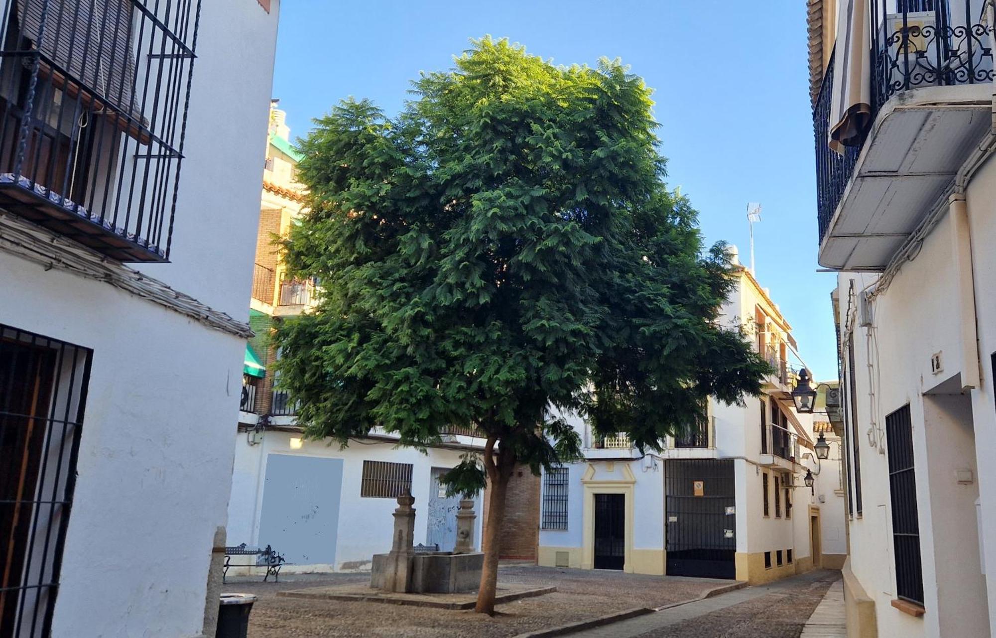 Terraza De La Axerquia Apartman Córdoba Kültér fotó